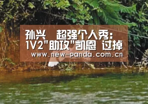 孙兴慜超强个人秀:1V2助攻凯恩 过掉阿利松爆射中框-熊猫体育app(图1) 熊猫体育